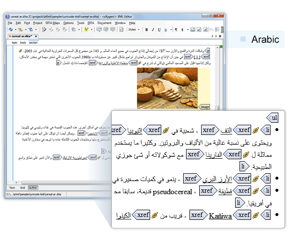Arabic Support in oXygen XML Author