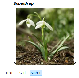 Images in Author Mode