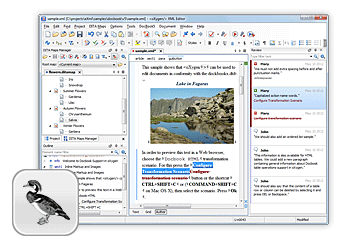 Visual DocBook Editor